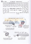 Mishnah Behirah - Uktzin