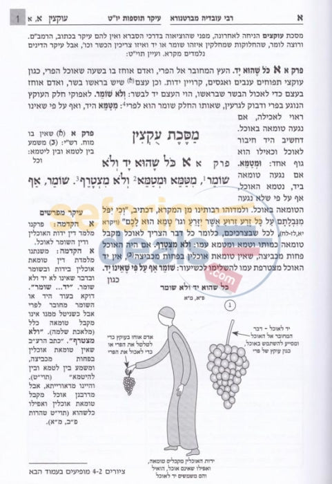 Mishnah Behirah - Uktzin
