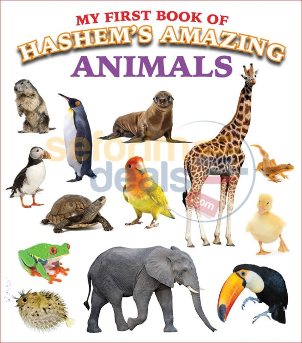 My First Book Of Hashems Amazing Animals