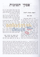 Piskei Teshuvos - Shabbos Vol. 2