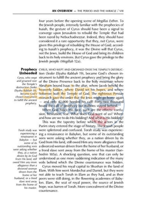 Schottenstein Edition Interlinear Megillah - Softcover