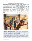 Spanish Artscroll Illustrated Haggadah - Softcover