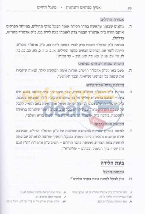 Asif Minhagim Vhanhagos Lchasidei Chabad