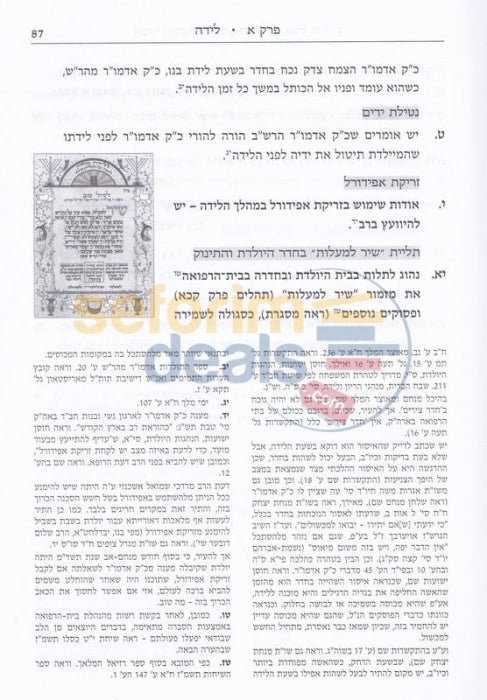 Asif Minhagim Vhanhagos Lchasidei Chabad