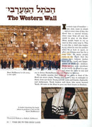 Take Me To The Holy Land