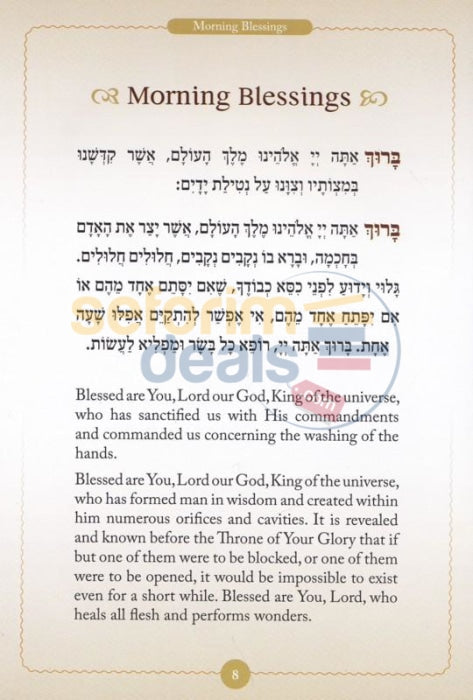 The Chabad Childrens Siddur - Boys Hebrew And English