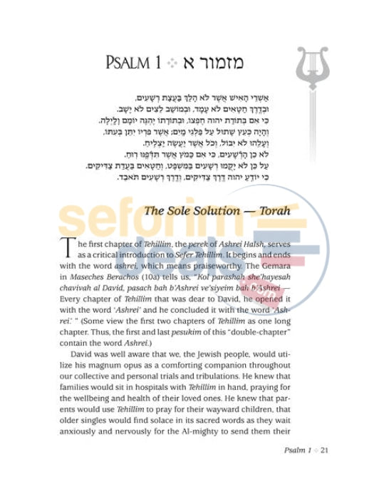 The Touch Of Tehillim - Standard Size