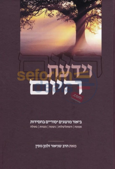 Vyadata Hayom -